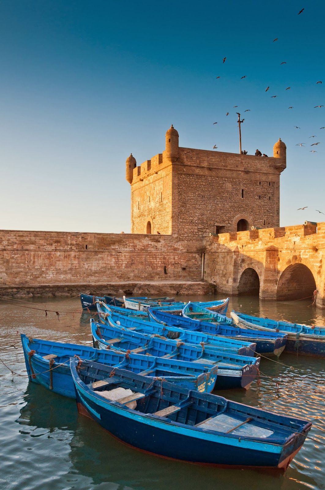 Essaouira Day Trip from Marrakech — A Day on the Atlantic