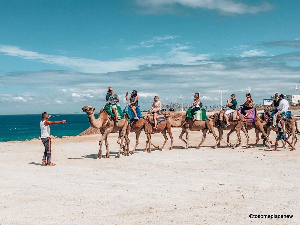 Camel ride on Achakkar beach