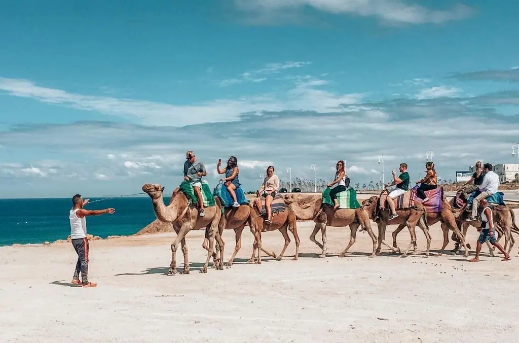 Camel ride on Achakkar beach