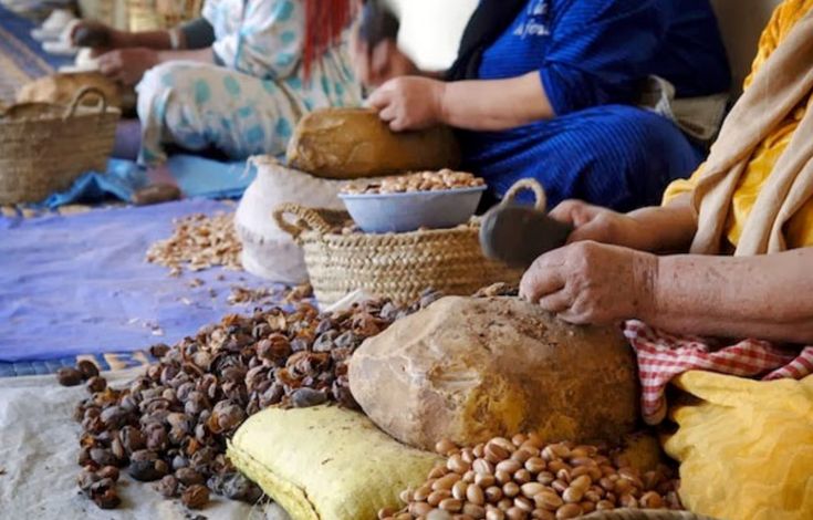 Argan oil cooperatives