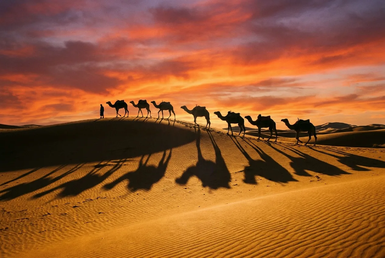 Marrakech & the Sahara — Gallery 2